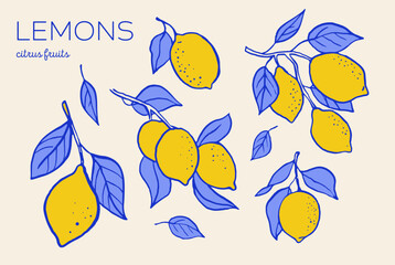 Hand drawn vintage collection of lemon illustrations. Citrus elements.