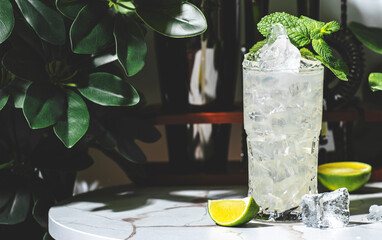 Refreshing ginger rogers cocktail served over ice with mint and lime in a stylish bar setting