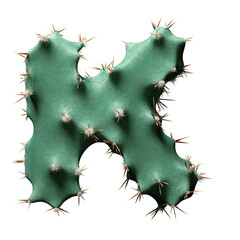 Cactus Shaped as Letter K on White Background