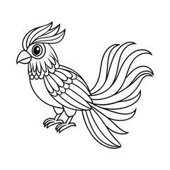 Fototapeta premium A tropical bird perched with a long tail feather for kids coloring book vector illustration.