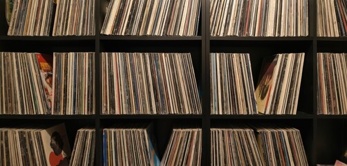 Collection of vinyl records neatly organized on shelves. Colorful records with varied textures, stacked in unique pattern. Background blurred, shelf in focus, adding depth to the image.