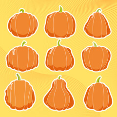 Set of fall pumpkins, flat icons. Vector illustrations isolated on abstract oranje background.