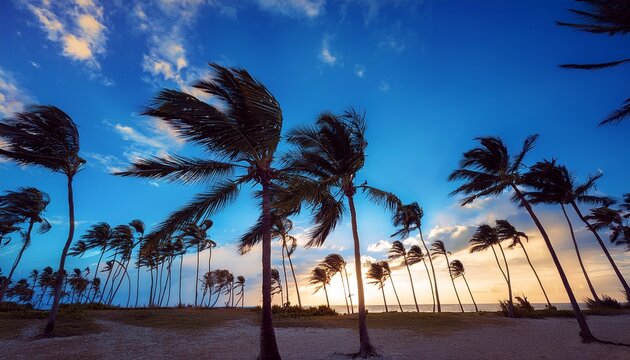 stunningly beautiful palm trees silhouetted against a bright and vibrant blue sky it is windy weather