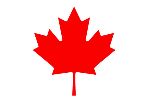 Red maple leaf icon, the national symbol from the flag of Canada. Vector graphic illustration design element. Canadian patriotism emblem. Isolated on white background concept.