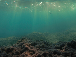 Dark blue ocean surface seen from underwater. Abstract waves underwater and rays of sunlight shining through, Sun light rays undersea deep, Underwater background with sea bottom, Mediterranean sea.