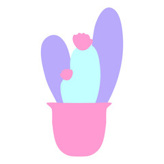 cactus in bright neon color