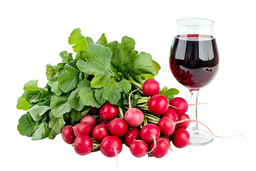 Colorful harvest of raw red radishes