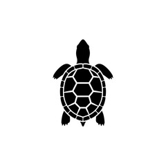 Obraz premium Illustration of a turtle with a patterned shell viewed from above in a minimalist style image design