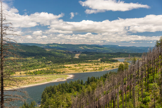 Views of the Columbia River Gorge from McCord Creek, Oregon