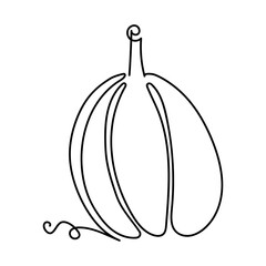 Line pumpkin drawing in black on white. Ideal for fall designs, seasonal prints, posters, textiles, wrapping paper, packaging, invitations, greeting cards, and various creative autumn projects.