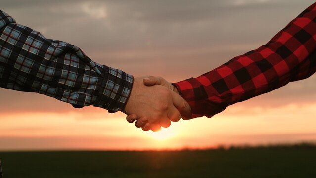 Man and woman farmer agronomist shaking hands making deal collaboration at sunset field closeup. Agricultural workers colleagues handshaking partnership success occupation and teamwork concept