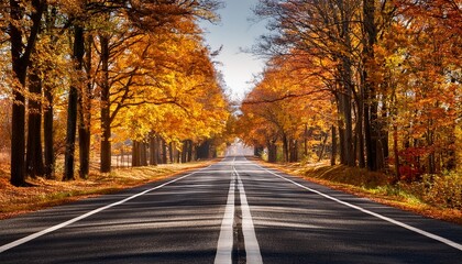 Obraz premium serene autumn landscape tranquil road flanked by trees inviting exploration into peaceful future of 2025