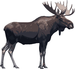 Moose 2D vector illustration in side profile – full body on white background © Kerem