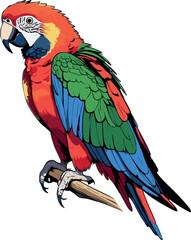 Parrot on branch – colorful full body side view vector on white background, 2D vector illustration