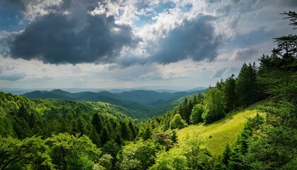Obraz premium a majestic forest stretches across the landscape with lush green trees cove the hillsides under a cloudy sky creating a serene and peaceful natural scene