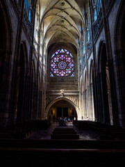 Fototapeta premium OLYMPUS DIGITAL CAMERA