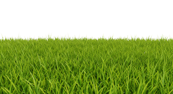 Isolated Green Grass Turf Background Transparent Nature Field Texture