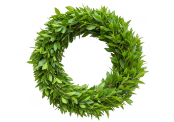 Isolated Green Laurel Wreath Decoration Symbol of Victory and Nature