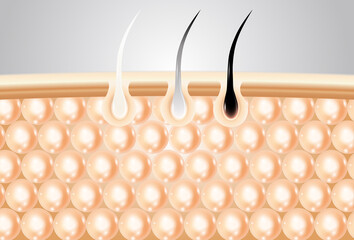 Hair serum molecules keep it fresh all day long