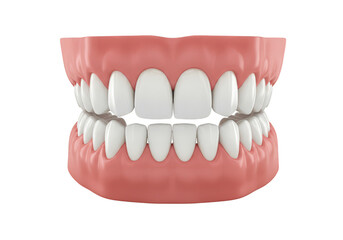Realistic 3D Render of Denture False Teeth Isolated on Transparent Background