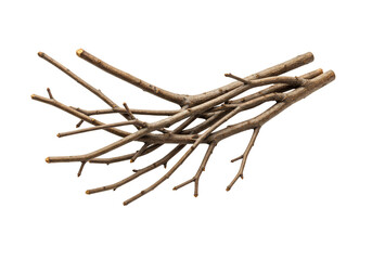 Isolated Group of Dry Tree Branches and Twigs in Transparent Background