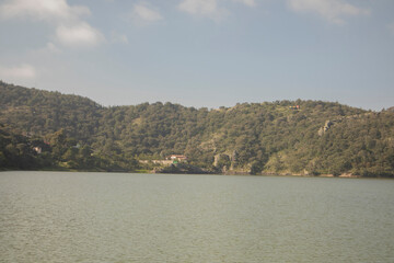 dawn at a lagoon in the forest