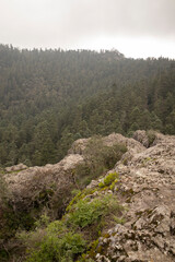 View of the forest from Peña del Cuervo in Mineral del Chico, Hidalgo, Mexico
