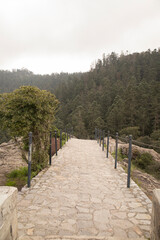 View of the forest from Peña del Cuervo in Mineral del Chico, Hidalgo, Mexico