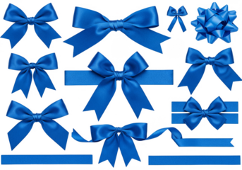Isolated Illustration of Collection of Blue Ribbon Bow on Transparent Background