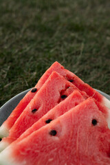 Red fresh tasty juicy watermelon fruit slices on the green grass background. High quality photo