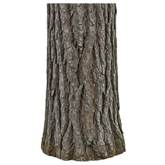 Isolated Illustration of Detailed Tree Trunk Texture on Transparent Backdrop