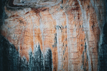 a piece of aged weathered wood with textured grain, cracks, and varying shades of brown and grey. abstract background with copy