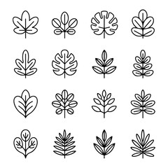 Unique and good quality Leaves line icon set
