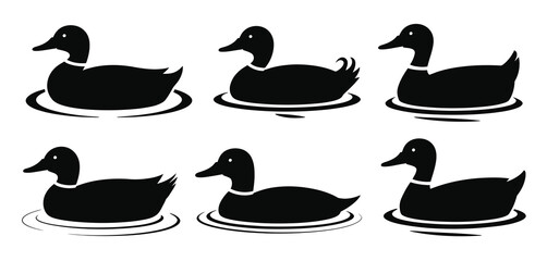 Six black silhouette mallard ducks swimming in water on a white background