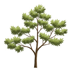 Isolated Illustration of Green Leafy Tree with Transparent Background