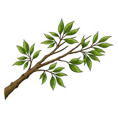 Isolated Illustration of Green Leaves Branch with Botanical Foliage