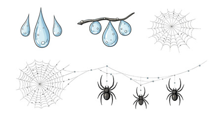 Illustration of spiderwebs with spiders hanging from it and water droplets on a branch and loose drops