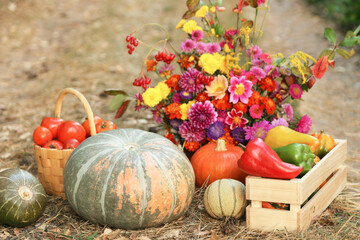Autumn harvest of fresh pumpkin, tomato, pepper vegetable with beautiful colorful fall flowers...