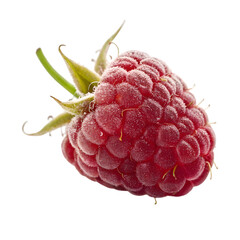 Close up macro shot of a single ripe red raspberry with water droplets isolated on transparent background