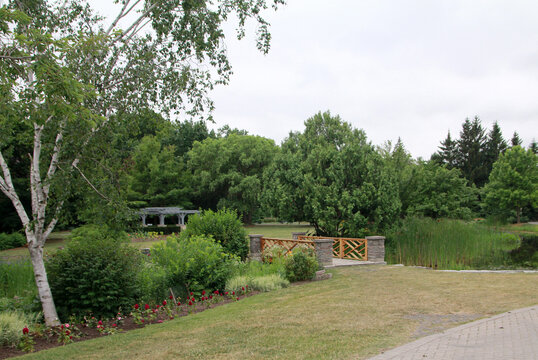 Summer landscape with bridge in the park