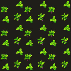 ミントのシームレスパターン　手描き水彩イラスト背景素材