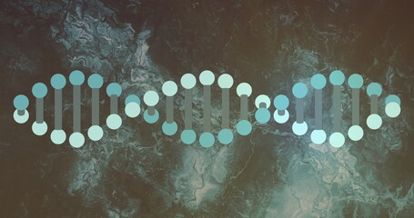 Displaying DNA helix segments in digital graphic art, with nucleotide circles and bond connectors