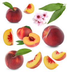 Ripe juicy peaches, blossoms and green leaves on white background, collage