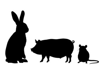 Abstract Dark Background with Scattered Lights Sparkle at Night Illustration