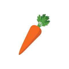 A single bright orange carrot with green leafy tops on a white background
