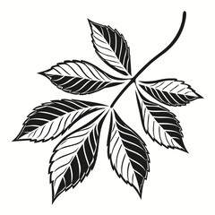 Detailed chestnut leaf illustration