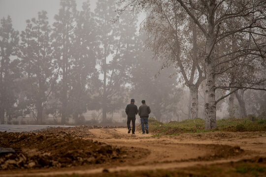 Two men walking on a dirt road on a foggy morning with trees in the background