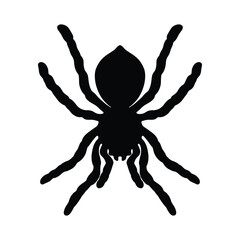 Black Spider Silhouette Vector, Minimalist Drawing of a Spider
