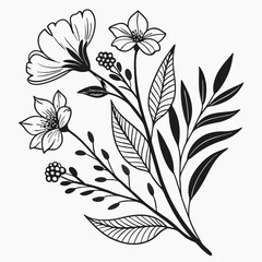 Elegant black and white floral illustration