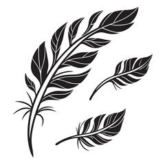 Obraz premium Elegant black feather design